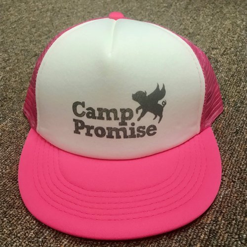 pink camp promise baseball hat with white panel and camp promise logo in grey on the front